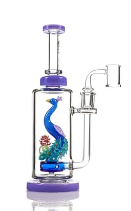 TX100 Toxic Blossom Peacock Rig