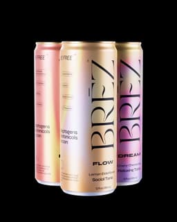 Brez Social Tonic Drink (4ct)