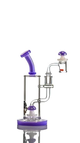 TX4 - 8″ Toxic Mushroom Rig Kits
