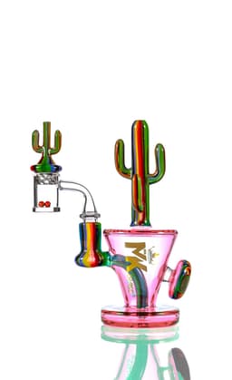 MK206- MK100 Cactus Kit