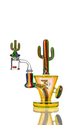 MK206- MK100 Cactus Kit